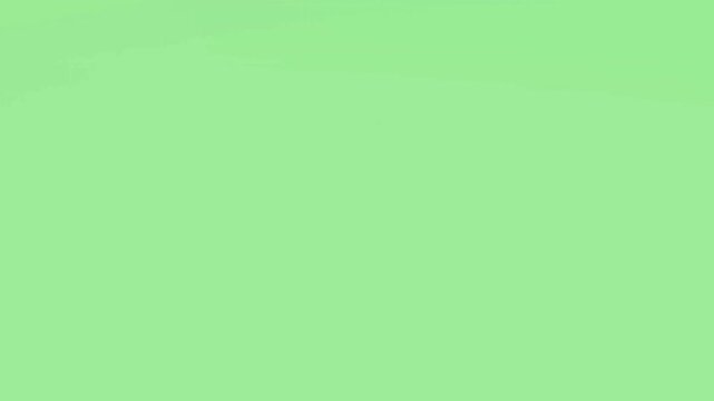 film burn transition, subtle light leak effect with a soft green hue appears. Ideal for scene changes or intros.