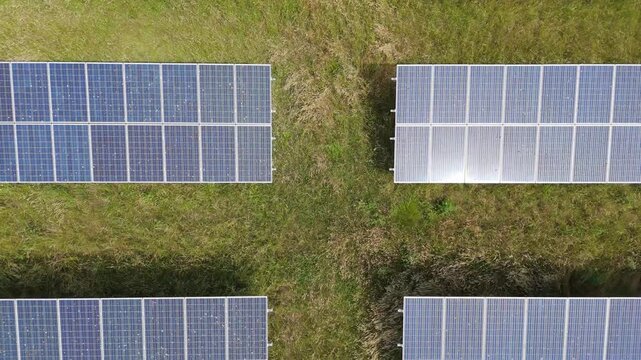 Rows of solar panels stretch across green grass