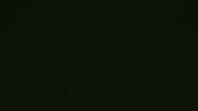 film burn transition, vintage light leak effect, cinematic grainy texture, retro overlay. This footage is ideal for adding a nostalgic or artistic feel to video edits.