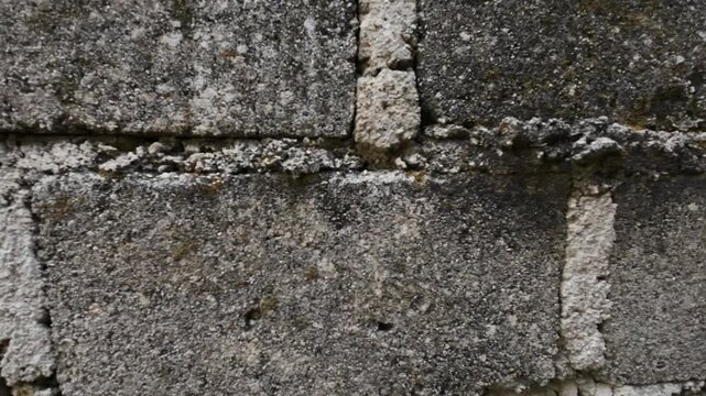 Dry old concrete block wall texture, detailed rough surface of aged cement construction background