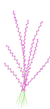 Simple purple lavender floral 