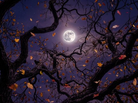 A mystical full moon shines brightly through the dark intricate silhouettes of bare autumn trees, surrounded by falling golden leaves against a deep purple night sky.