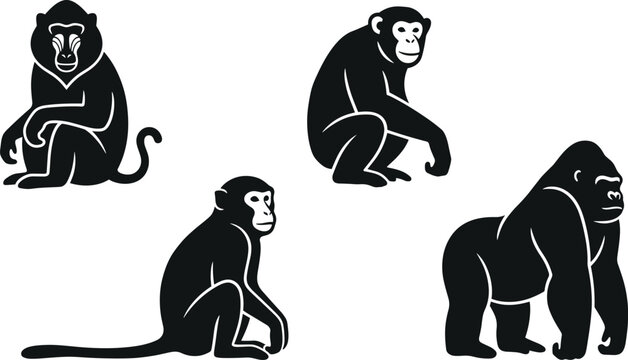 Primates silhouette set featuring baboon chimpanzee macaque monkey and silverback gorilla isolated vector illustration design