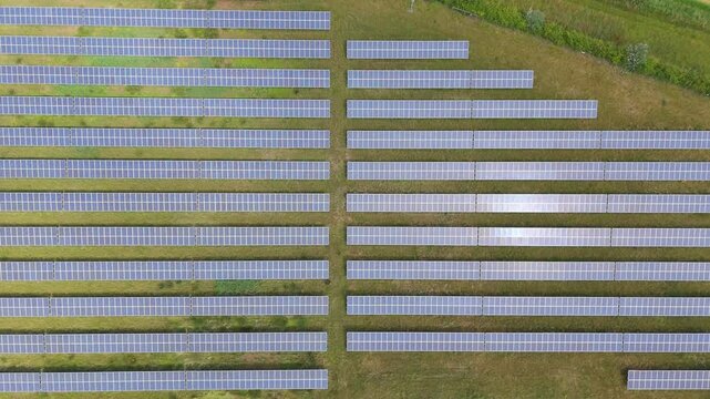 Rows of solar panels gleam under clear skies