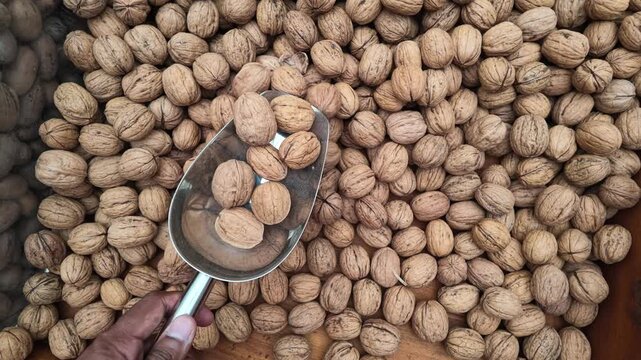 Gathering walnuts in a market with a scoop in hand