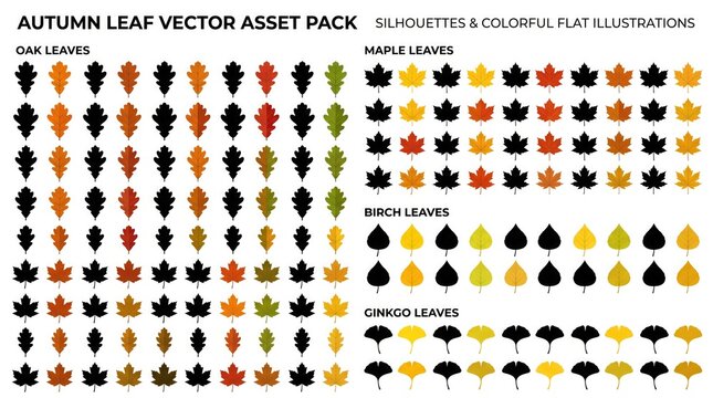 Comprehensive autumn leaf silhouette and color vector asset pack for seasonal graphic design and logo creation