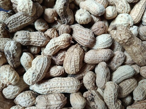 Close-up of raw, unshelled peanuts in natural pods, forming a textured agricultural harvest background.