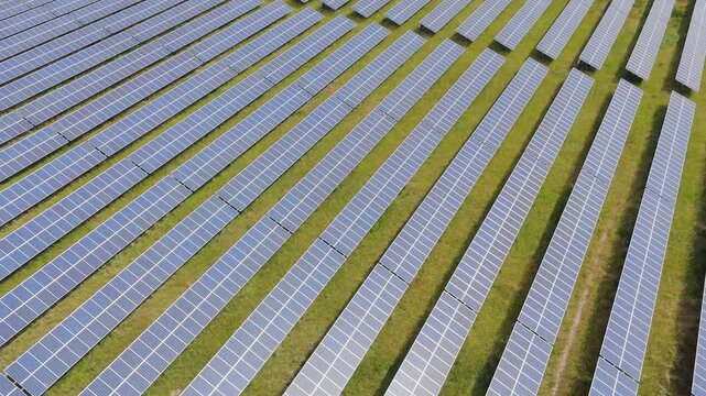 Rows of solar panels stretch across a green field