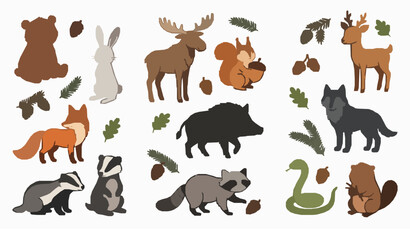 Obraz premium Whimsical Woodland Animals Vector Set with Cute Forest Bear Fox Hare Elk and Raccoon