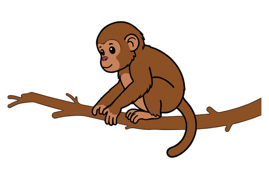 Cute brown monkey sitting on tree branch - little monkey cartoon illustration