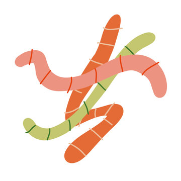 Colorful vector Worm Illustration with Intertwined Shapes