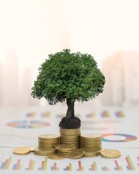 Returns on finance and investment are grow concept. gold coin money and plant and finance investment report. vertical view.