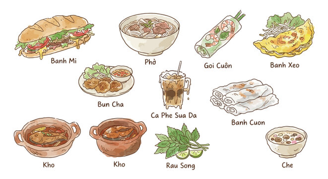 Hand-drawn illustration set of famous traditional Vietnamese food dishes, such as banh mi and pho