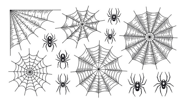 Halloween sketch collection with spooky cobwebs and creepy black spiders on a white background
