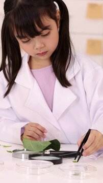 Young Girl in Lab Coat Studying Plant Leaf with Tweezers