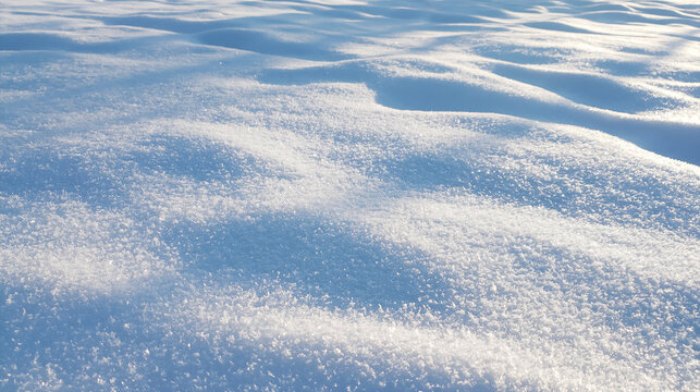 Expansive Sparkling Snow Field on a Sunny Winter Day