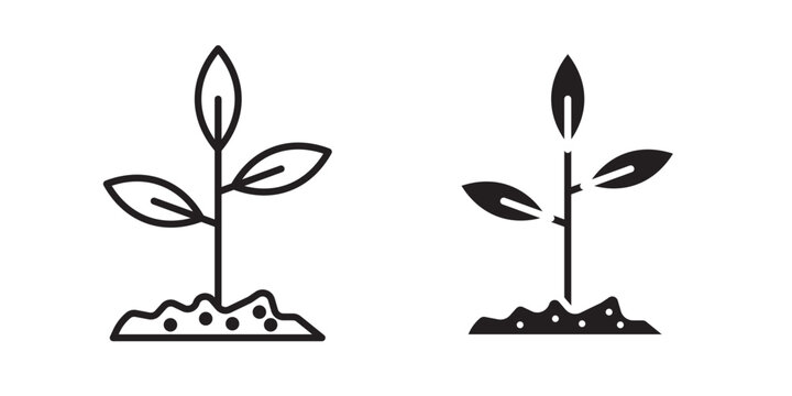 Plant icon flat outline in black