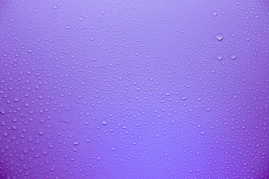 Condensed water droplets on a violet background Raindrops with reflections on the surface abstract wet texture