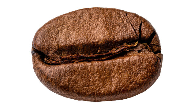 Single roasted arabica coffee bean with deep brown color and textured surface, isolated on transparent background