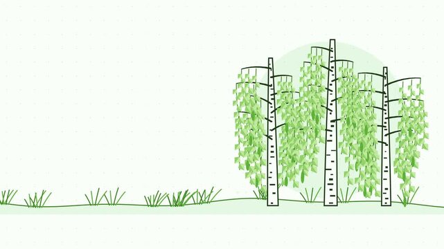 Gentle 4K seamless loop showing birch grove hanging twigs swaying in a clean flat vector style with fresh green colours and a bright light backdrop. Slow natural movement and generous copy space. Wide