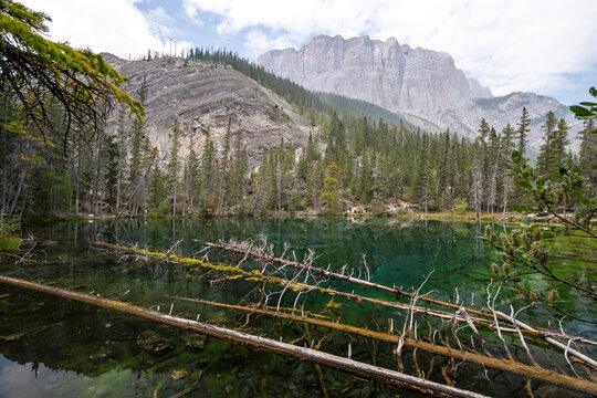 Beautiful view to green Grassi Lake in Canmore, Alberta, Canada