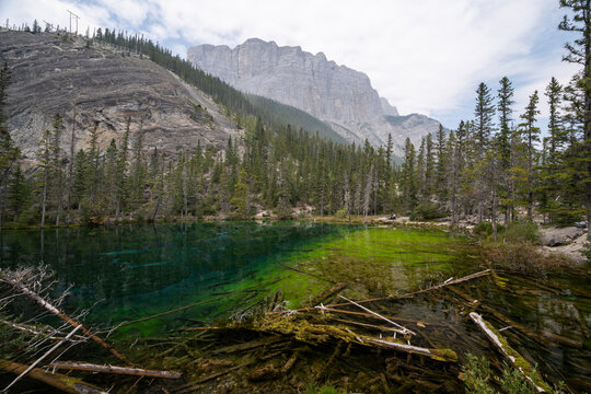 Beautiful view to green Grassi Lake in Canmore, Alberta, Canada