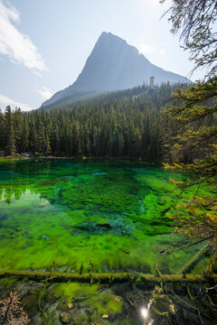 Beautiful view to green Grassi Lake in Canmore, Alberta, Canada