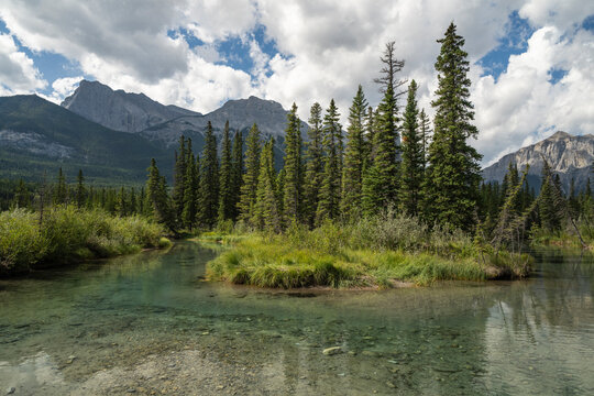 Beautiful view to river, green temperate forest and rocky mountains