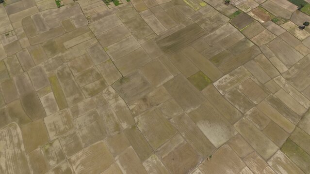 An aerial top down view of flooded farm fields