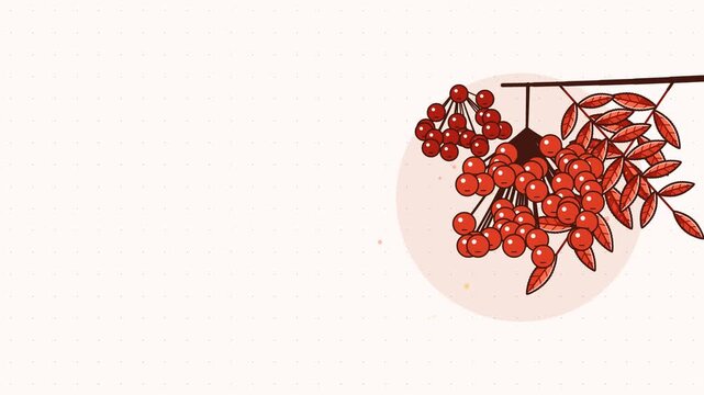 Gentle 4K seamless loop showing rowan berries cluster rippling wave in a clean flat vector style with warm red and coral colours and a bright light backdrop. Slow natural movement and generous copy sp