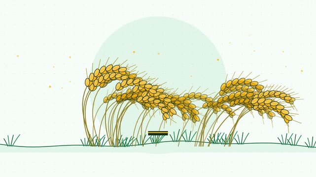 Gentle 4K seamless loop showing wheat ears bowing in wind in a clean flat vector style with yellow and gold colours and a bright light backdrop. Slow natural movement and generous copy space. Widescre