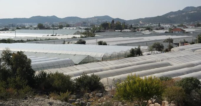 Plastic covered greenhouse fields spread across the Demre agricultural plain with rounded tunnels nearest the camera houses interrupting the white roofs and low green hills behind the town