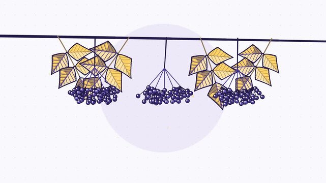 Seamless 4K looping animation of berry branch clusters quivering softly, drawn as a minimal flat vector scene in yellow and gold tones on a soft light background. Calm, gentle motion with plenty of em