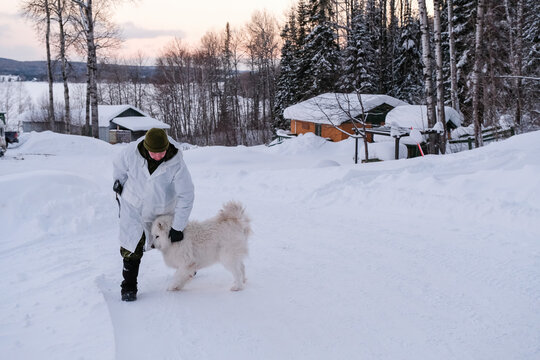 Dog crossing the snowbound camp during French soldiers' winter training with the Canadian army, Valcartier, Quebec, Canada