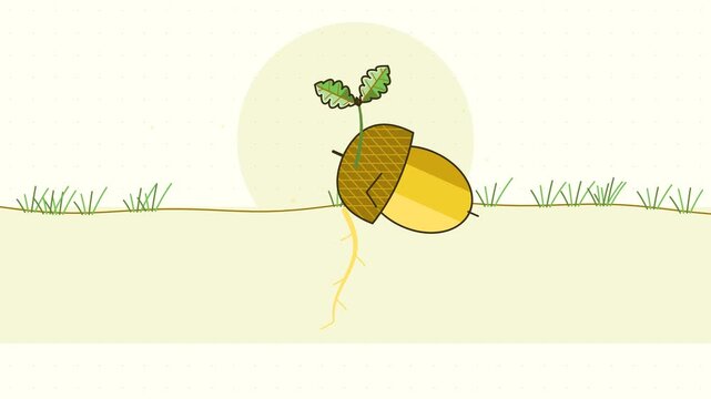 Seamless 4K looping animation of acorn sprouting root growing back, drawn as a minimal flat vector scene in yellow and gold tones on a soft light background. Calm, gentle motion with plenty of empty s
