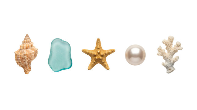 Beautiful collection of seashells sea glass starfish pearl and white coral on transparent background