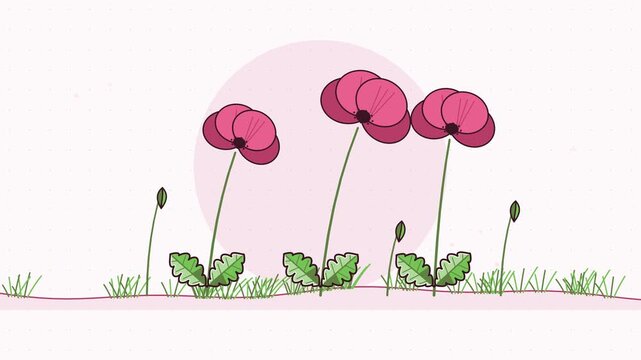 Seamless 4K looping animation of poppy field simple stems bowing, drawn as a minimal flat vector scene in warm red and coral tones on a soft light background. Calm, gentle motion with plenty of empty 