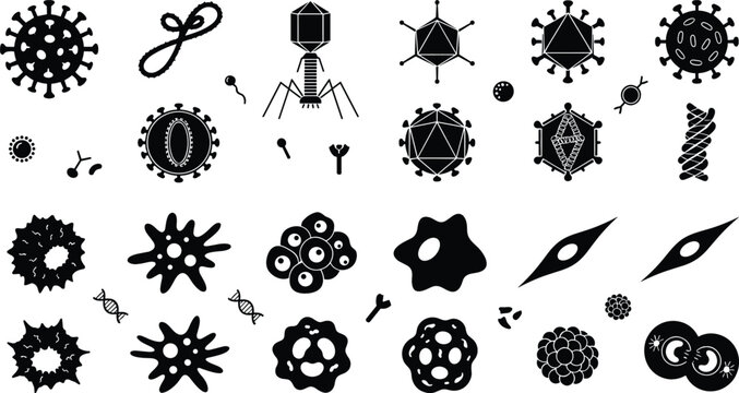 Microscopic virus and bacteria organism collection set featuring black silhouette cell structures pathogens disease vectors and medical icons