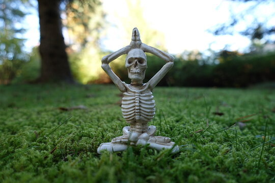 Small skeleton figurine sitting in yoga pose on green moss outdoors.
