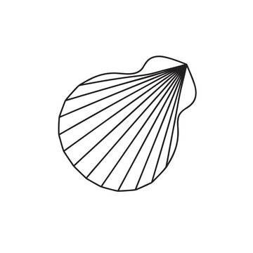 A black and white line drawing depicts a seashell with radiating ridges on a white background