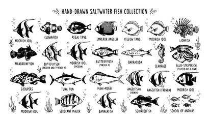 Obraz premium wild animals collection