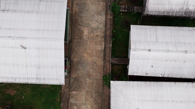 Simple Village Community Buildings underlining Poor Neighbourhood Accommodation in the Amazon, Brazil, South America, Cinematic Top-down Aerial dolly forward view