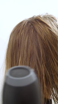 Women's Hair Salon. The stylists at the women's salon are working with a young woman. Beauty salon and makeup - vertical video.