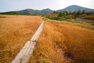 青森県の八甲田山、上毛無岱と八甲田山 © ATbonobo