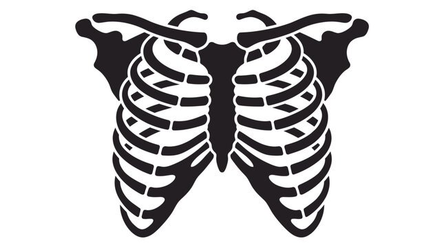 Human rib cage silhouette vector illustration on white background