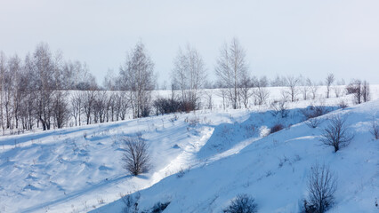 Obraz premium Snow blankets rolling hills and bare trees