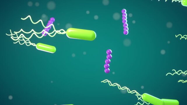 Bacteria swimming seamless loop green rod shaped microbes flagella purple cocci chains microbiology microscopic organisms drift through teal fluid for hygiene ads medical education and lab promos