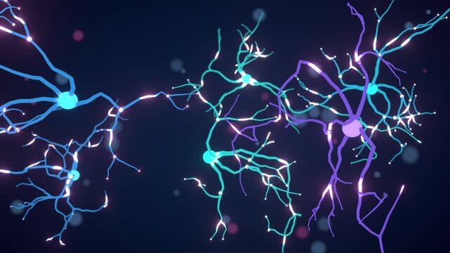 Neurons firing seamless loop neural network brain cells synapses signals glowing blue purple dendrites pass electrical pulses on a dark background for neuroscience education and tech intros