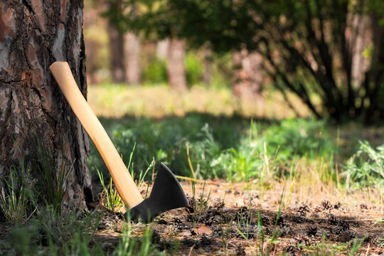 Bushcraft and survival skills, camping axe leaning against a pine tree in the forest for outdoor adventure and wilderness exploration preparation