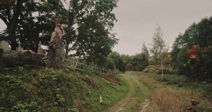 Fallen Tree Across Fence of Old Cemetery in Autumn Countryside
